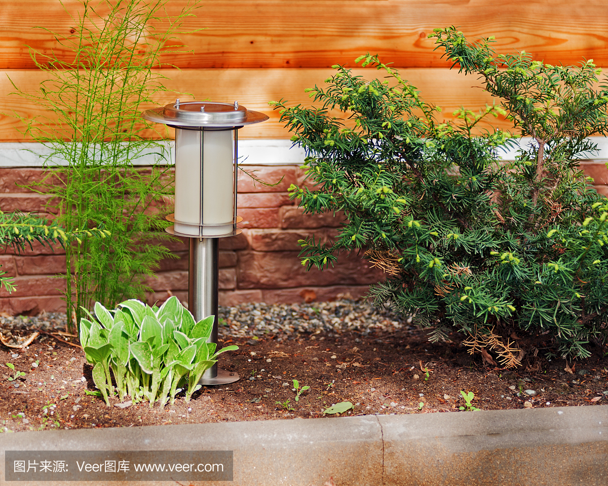 花園背景上的太陽能燈。