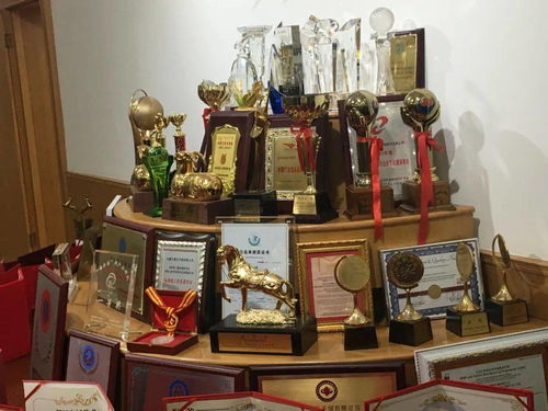 東河發(fā)生了一件大事兒,你知道嗎 多圖來襲