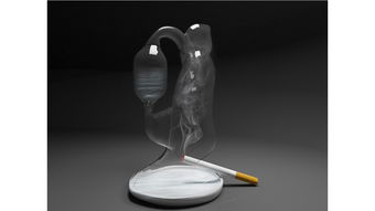 大運(yùn)河文創(chuàng)產(chǎn)品設(shè)計(jì) 長(zhǎng)信宮燈