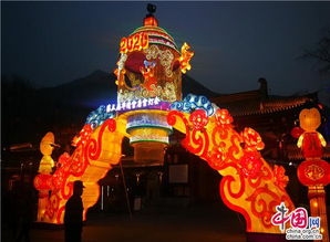 中國年看西安 第三屆華清宮唐宮燈會璀璨啟幕